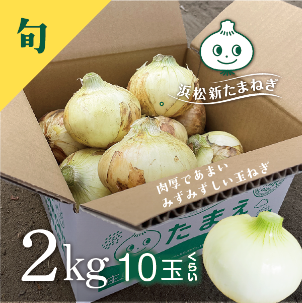 新たまねぎ　たまえ　2kg