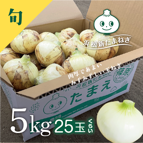 新たまねぎ　たまえ　5kg