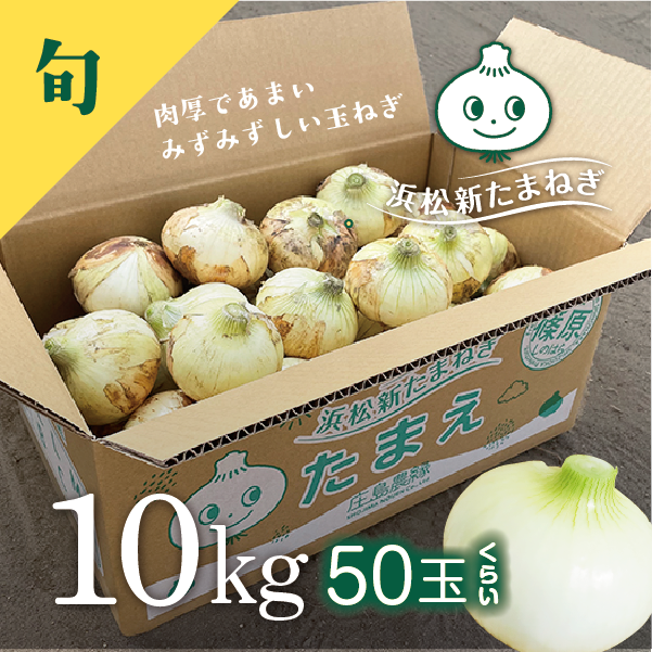 新たまねぎ　たまえ　10kg
