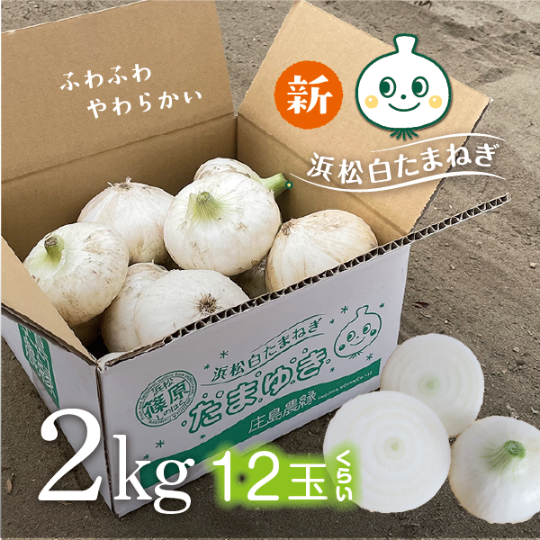 白たまねぎ　たまゆき　2kg