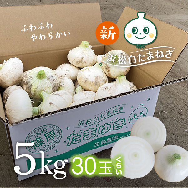 白たまねぎ　たまゆき　5kg