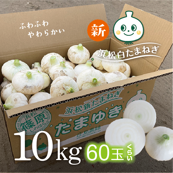 白たまねぎ　たまゆき　10kg